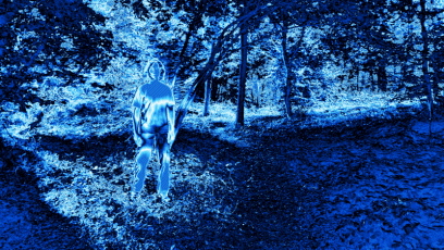 Sinn Guru Sinn.Guru #sinnguru #menschguru