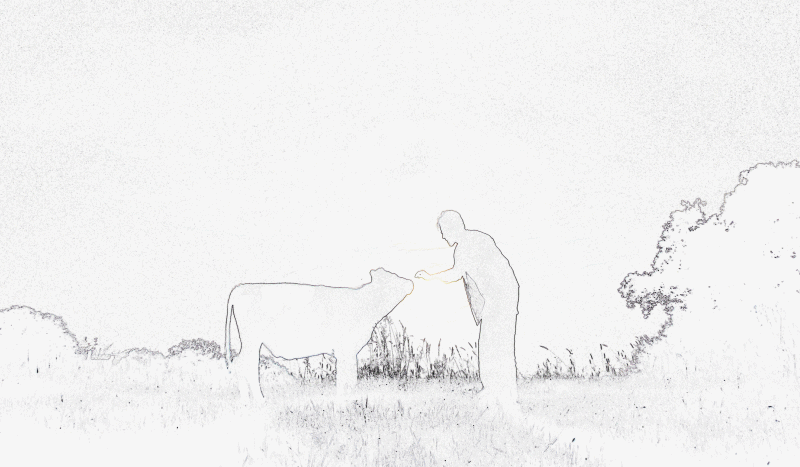 cowflow bababo emanation feat. krypto cam